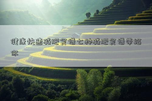 健康快速减肥食谱七种减肥食谱带给你
