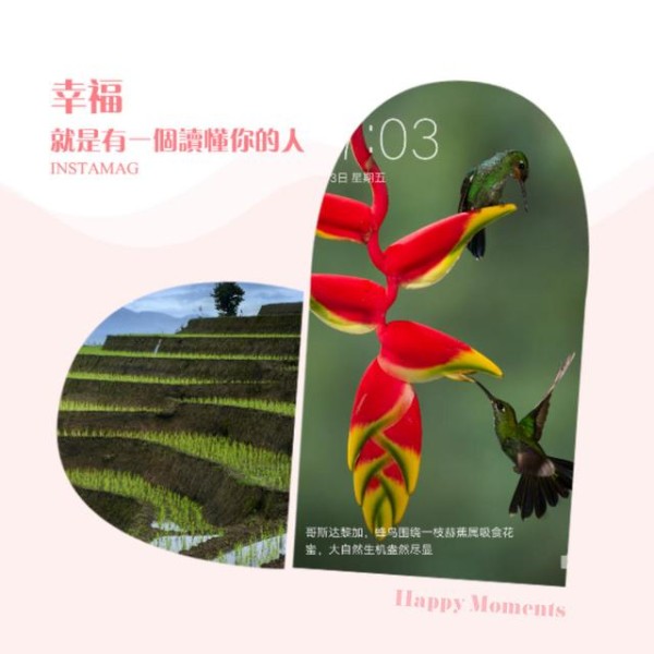 6款App，让你的生活高效又时尚