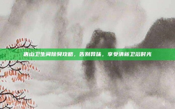 唐山卫生间除臭攻略,告别异味,享受清新卫浴时光