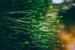 灶王爷对着厨房门好吗？风水解析告诉您答案！
