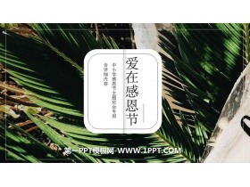 《爱在感恩节》PPT班会课件
