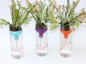 Half bottle planter