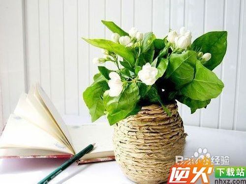用牛皮纸和玻璃瓶DIY小花瓶