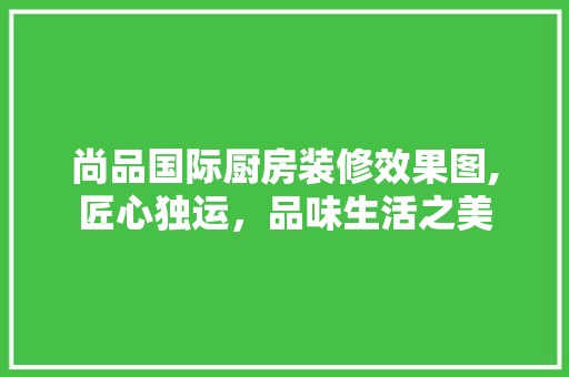 尚品国际厨房装修效果图,匠心独运，品味生活之美 涂料