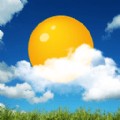 瑞虎天气