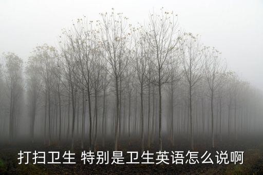 打扫卫生 特别是卫生英语怎么说啊