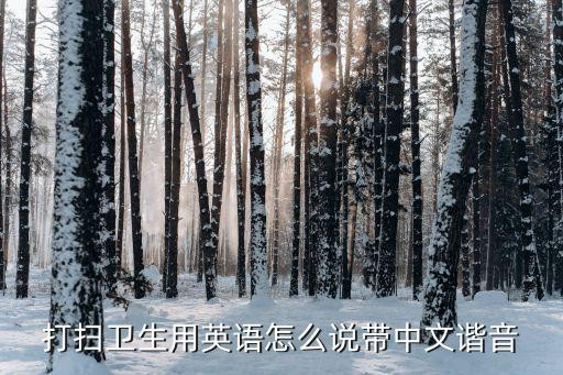 打扫卫生用英语怎么说带中文谐音