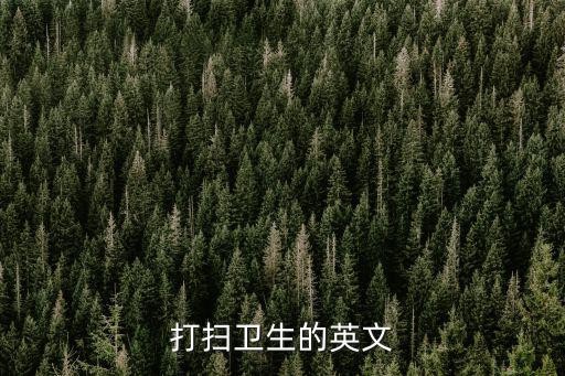 打扫卫生的英文