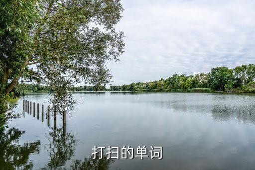 打扫的单词