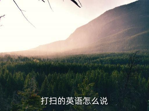 打扫的英语怎么说