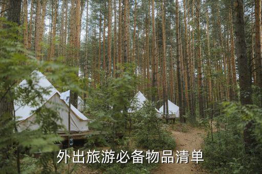 外出旅游必备物品清单