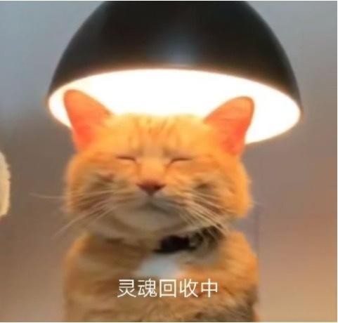 八款二手闲置平台介绍！-有驾