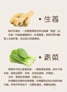 掌握选购技巧,选对蔬菜!轻松挑选健康食材