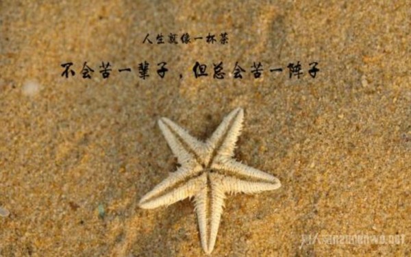 生活干净的文案（唯美生活，让世界更美好）