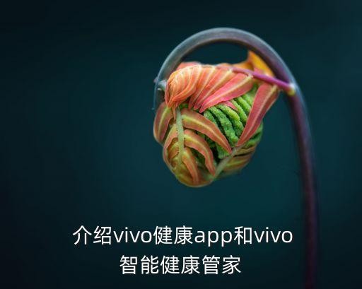  介绍vivo健康app和vivo智能健康管家