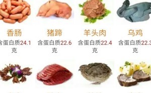 蛋白质盛宴，盘点健康饮食必备的丰富蛋白质食物