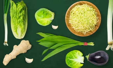科学吃素指南，让你吃出好身材！