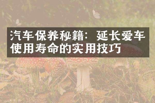 汽车保养秘籍：延长爱车使用寿命的实用技巧