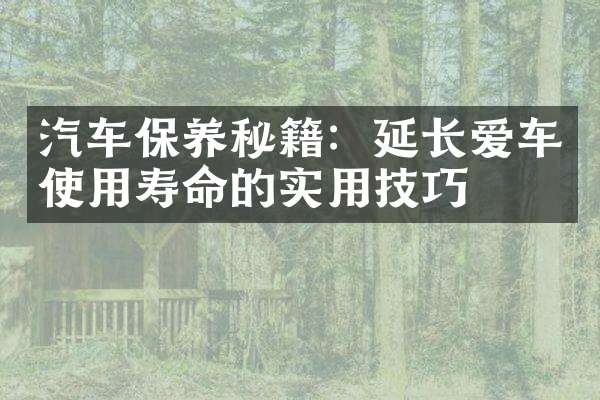 汽车保养秘籍：延长爱车使用寿命的实用技巧