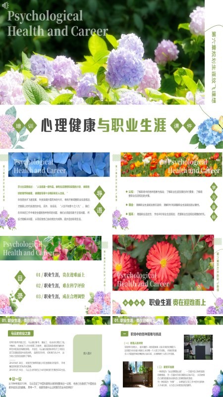 规划生涯放飞理想心理健康与职业生涯第六章培训PPT课件