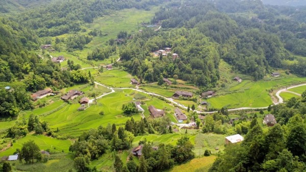 习水大坡田坝村，梯田绕屋、青山环抱，绘就田园避暑画卷。习水县融媒体中心供图.jpg