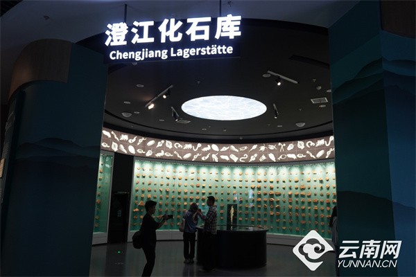 聚焦第9届南博会｜玉溪抚仙湖畔旅居经济上南博 展示云南生活新样本