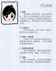 宠物衣物洗涤小贴士