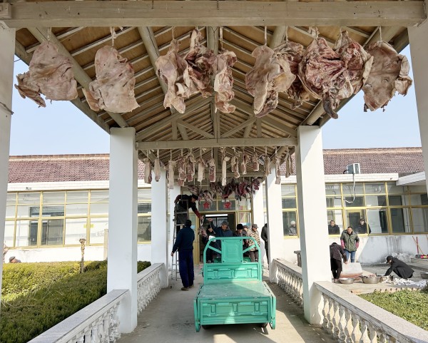 南阳镇一合作社负责人捐赠物品关爱老人生活