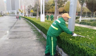 园林绿化养护