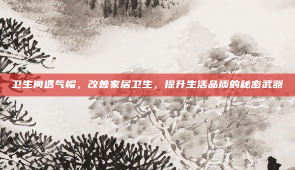 卫生间透气帽,改善家居卫生,提升生活品质的秘密武器