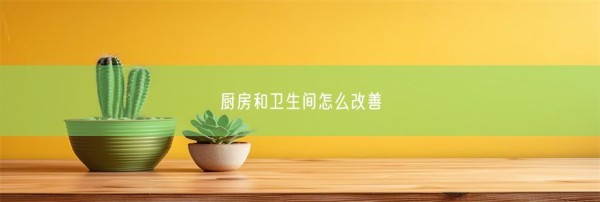 厨房和卫生间怎么改善(图1)