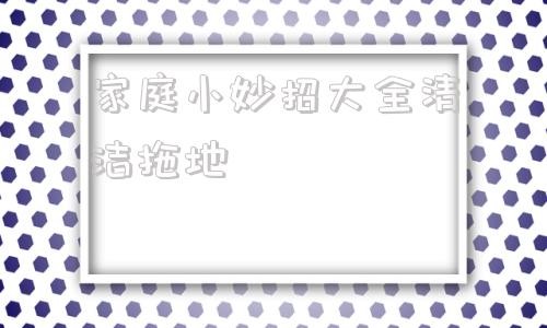 家庭小妙招大全清洁拖地
