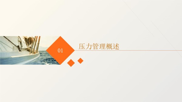 压力管理心理实践报告_第3页