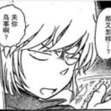mibo lost