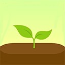 forest专注森林免费版