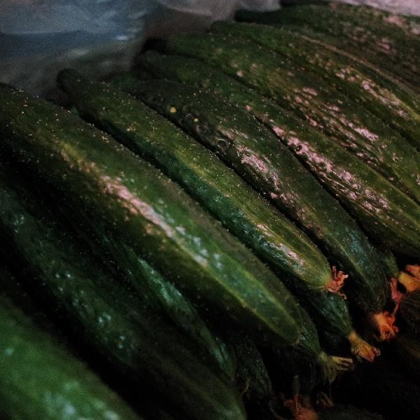 冰箱里的菜怎么保鲜