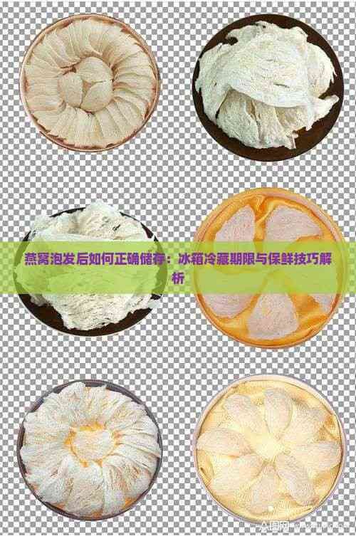 燕窝泡发后如何正确储存：冰箱冷藏期限与保鲜技巧解析