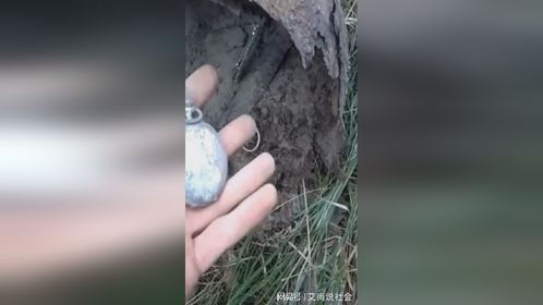 小伙搜寻二战战场遗迹，发现一块怀表和一枚勋章，值钱吗？