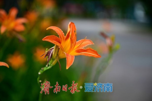 一年四季 泉在济南丨游泉城公园,静享城市“慢生活”