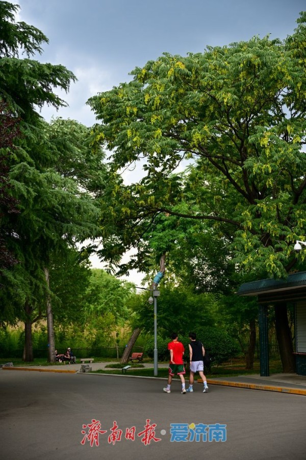 一年四季 泉在济南丨游泉城公园,静享城市“慢生活”