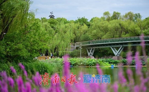 一年四季 泉在济南丨游泉城公园,静享城市“慢生活”