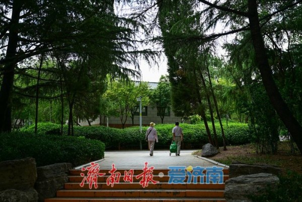 一年四季 泉在济南丨游泉城公园,静享城市“慢生活”