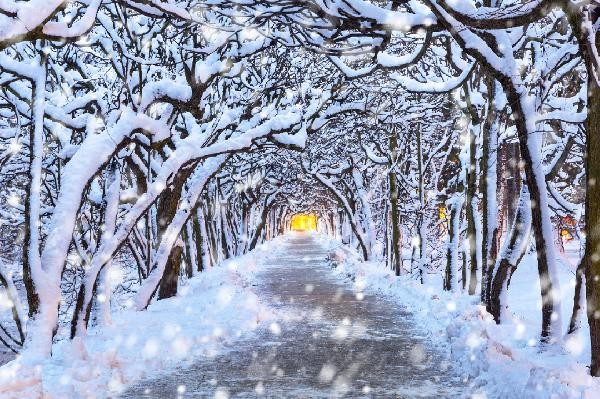 滑雪速干衣多久洗一次合适