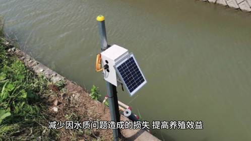 科技化高密度养殖水质每分钟监测的重要性