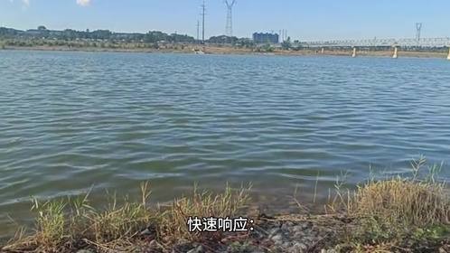 基于传感器的溶解氧自动化控制