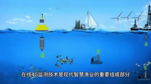 水质含盐分监测技术在鱼塘水质电导率管理