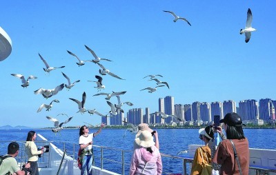 关注“世界海洋日”，且听海洋科技工作者的澎湃心声——追风逐浪，向海而兴