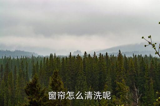 窗帘怎么清洗呢