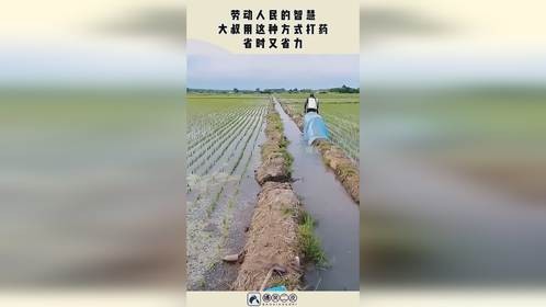 劳动人民的智慧，大叔用这种方式打药，省时又省力！
