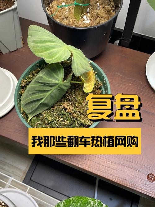 安庆e网生活网购达人教你如何在安庆网购中“掉坑”不翻车